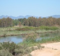 Girasole - Il rio Girasole