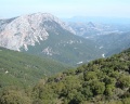 The inlands of Ogliastra - The gorge of Gorroppu
