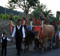Ogliastra - Religious procession
